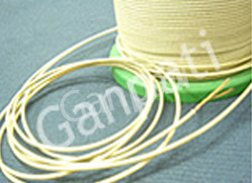 Glass Coated Wires